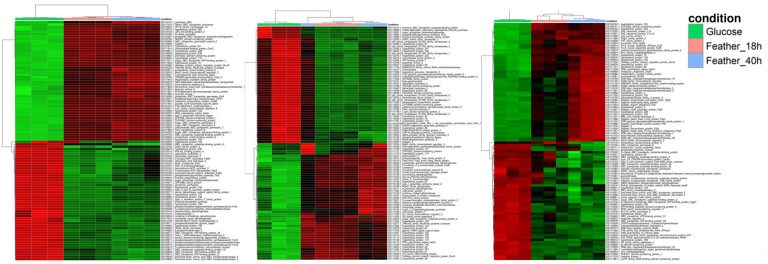 Transcriptomics services