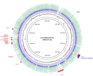 Circular bacterial genome map showing annotated genes and genomic features