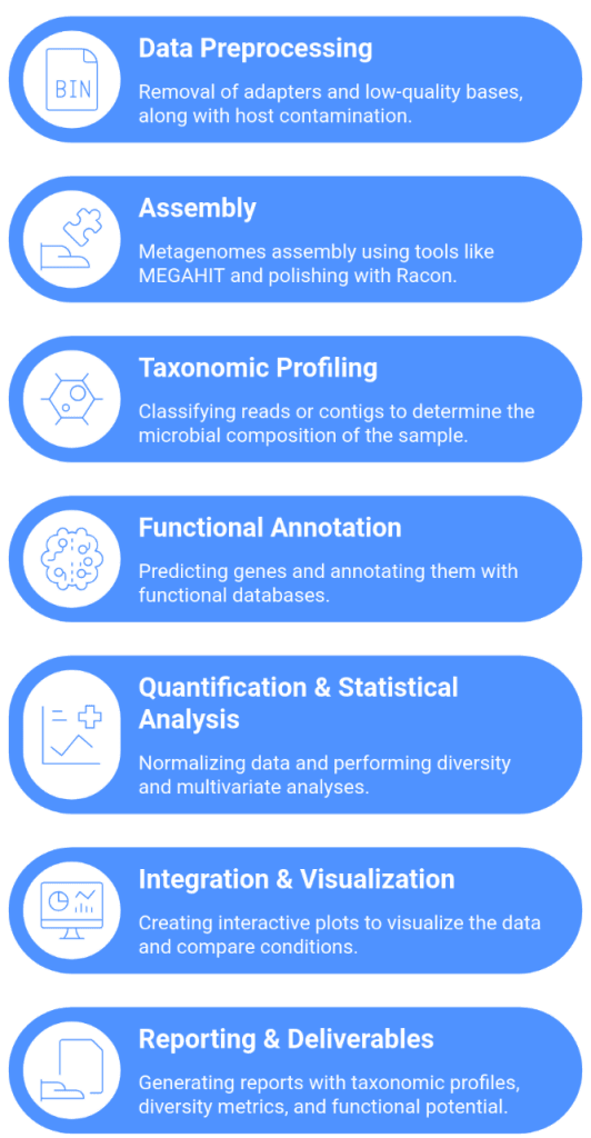 Metagenomics Services Workflow