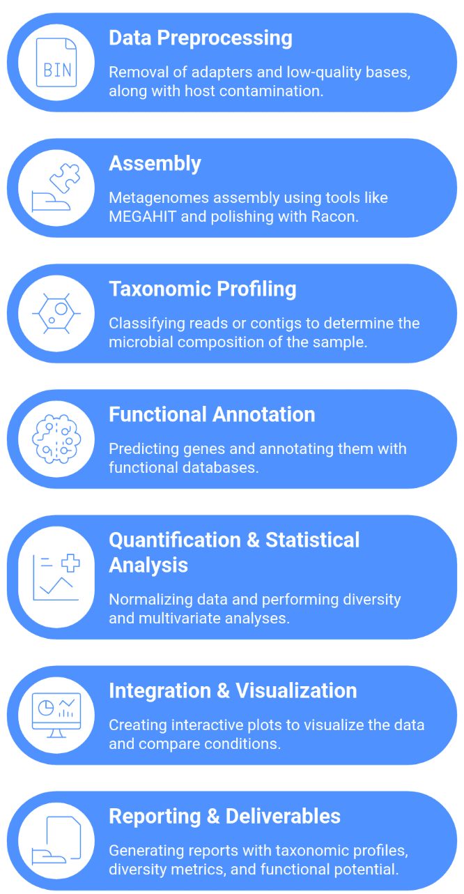 Metagenomics Bioinformatics Services: Shotgun and Amplicon Analysis ...