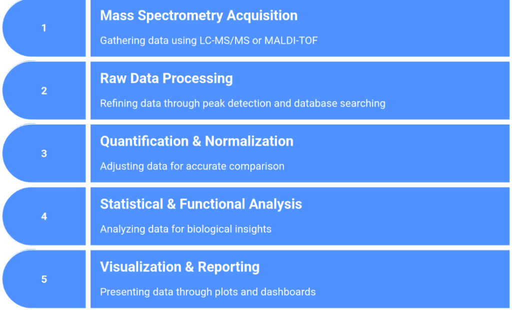 Proteomics Services Workflow
