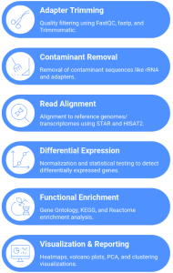 RNA-seq bioinformatics workflow including quality control, read alignment, differential expression analysis and functional enrichment.