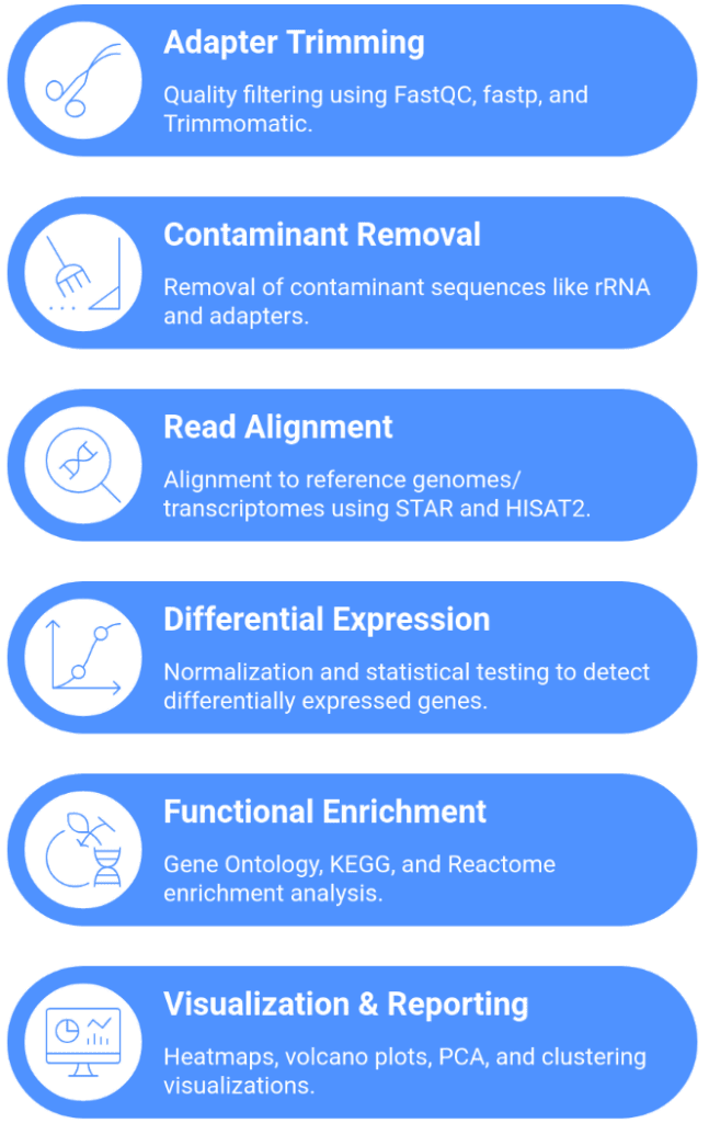 RNA-seq bioinformatics workflow including quality control, read alignment, differential expression analysis and functional enrichment.