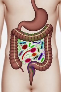 microbiome profiling