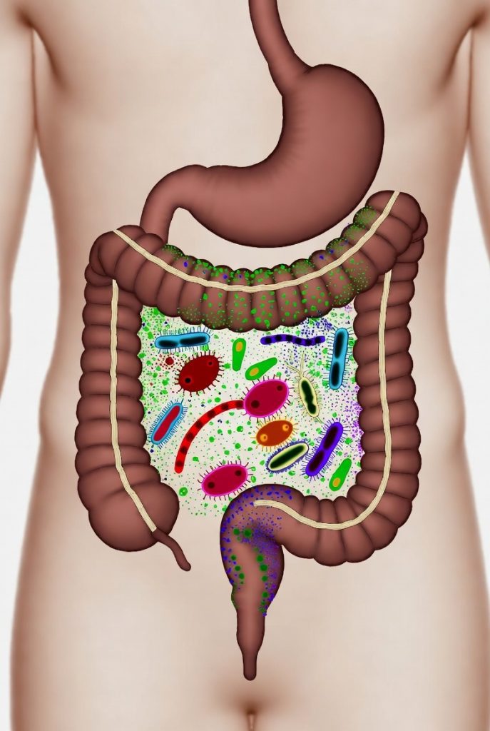 microbiome profiling