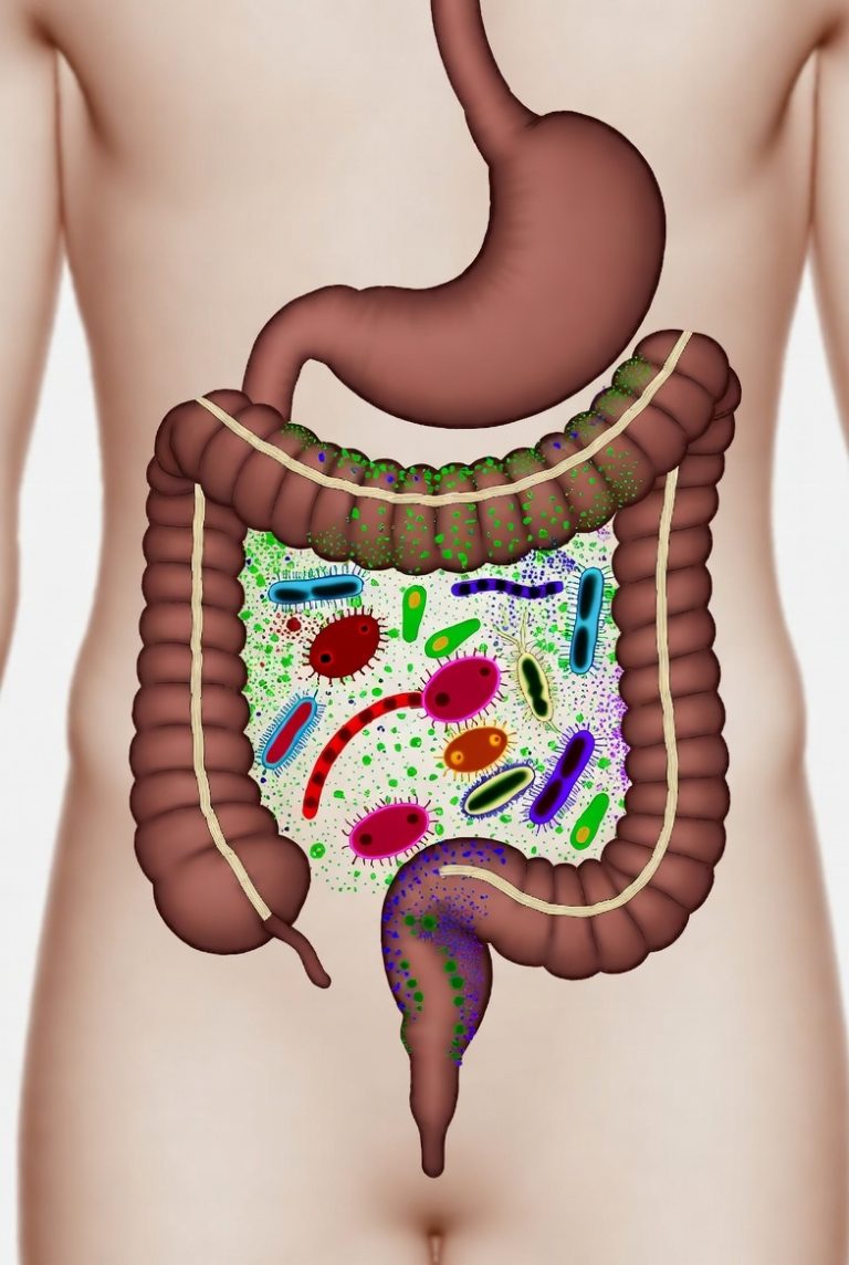 microbiome profiling