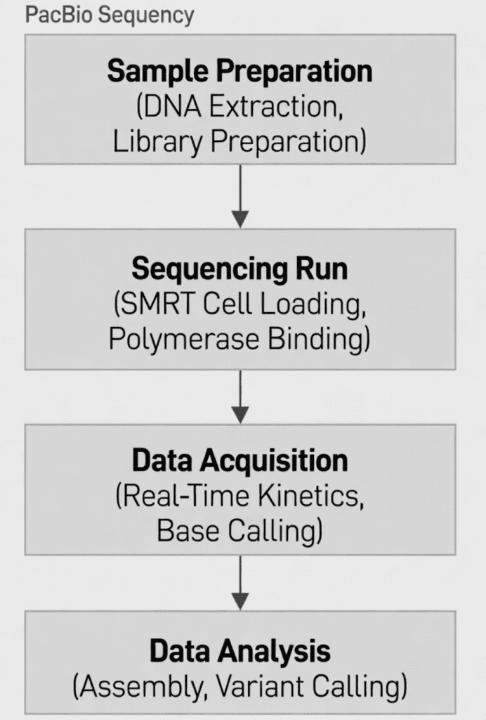 PacBio HiFi sequencing for bacterial genome sequencing