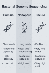 Bacterial genome sequencing