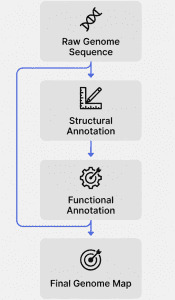 what is genome annotation