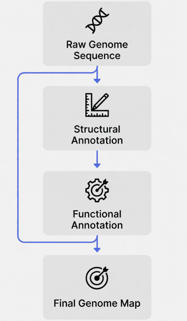 what is genome annotation
