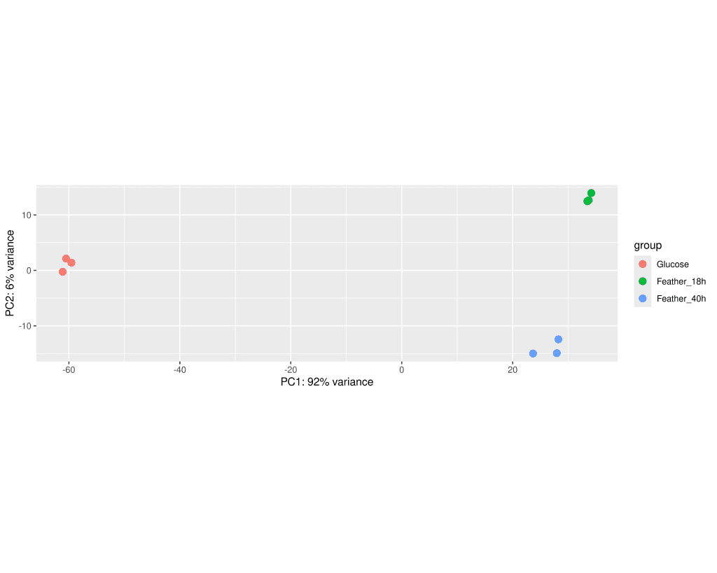 RNA-Seq Data Analysis Pipeline: From FASTQ to Differential Expression