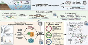 Metagenome assembly pipeline reconstructing microbial genomes from environmental sequencing data