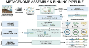 Metagenome assembly pipeline from environmental DNA sequencing reads to metagenome assembled genomes