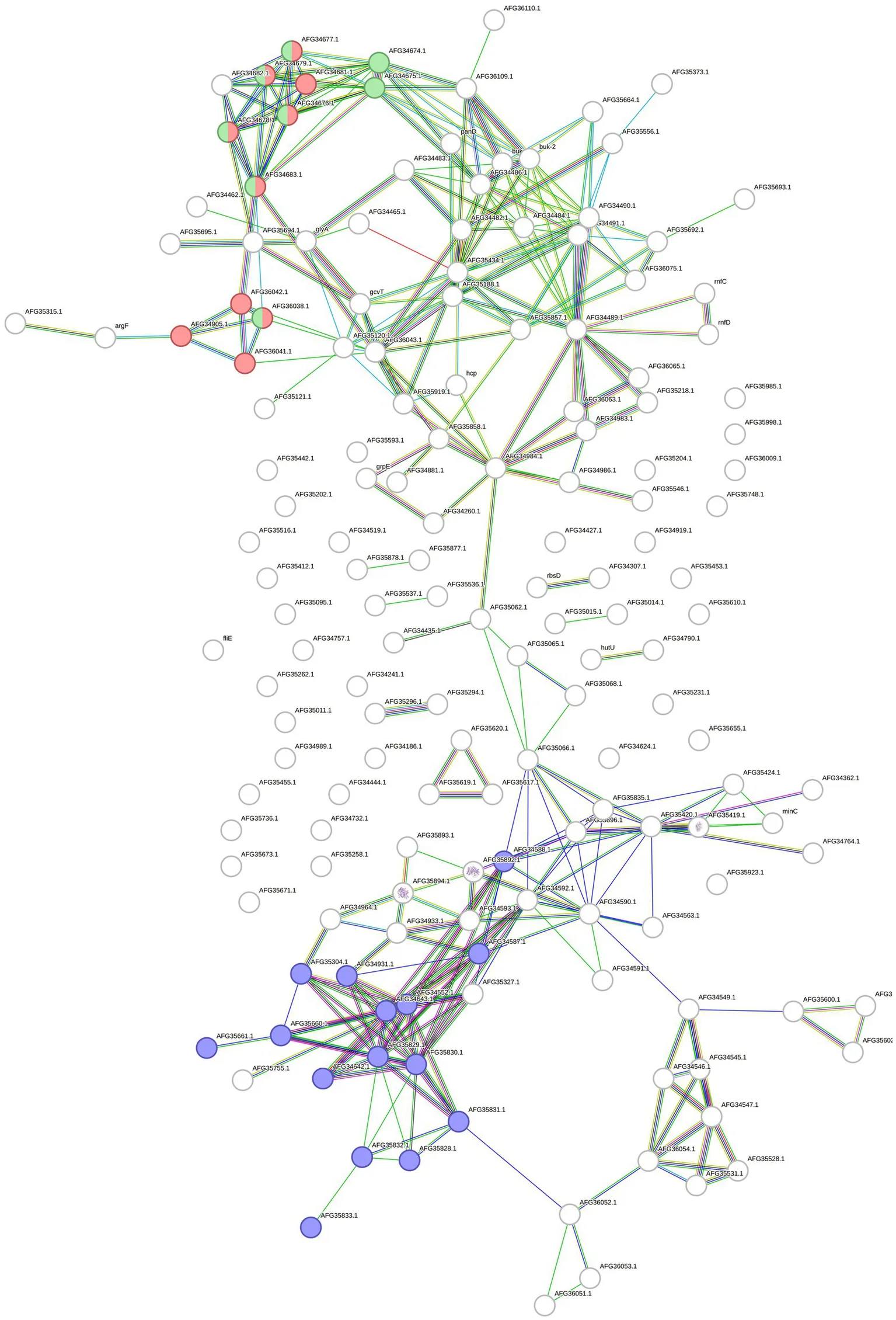 STRING association network of proteins and genes increased in Fervidobacterium pennivorans T grown on chicken feathers versus glucose.
